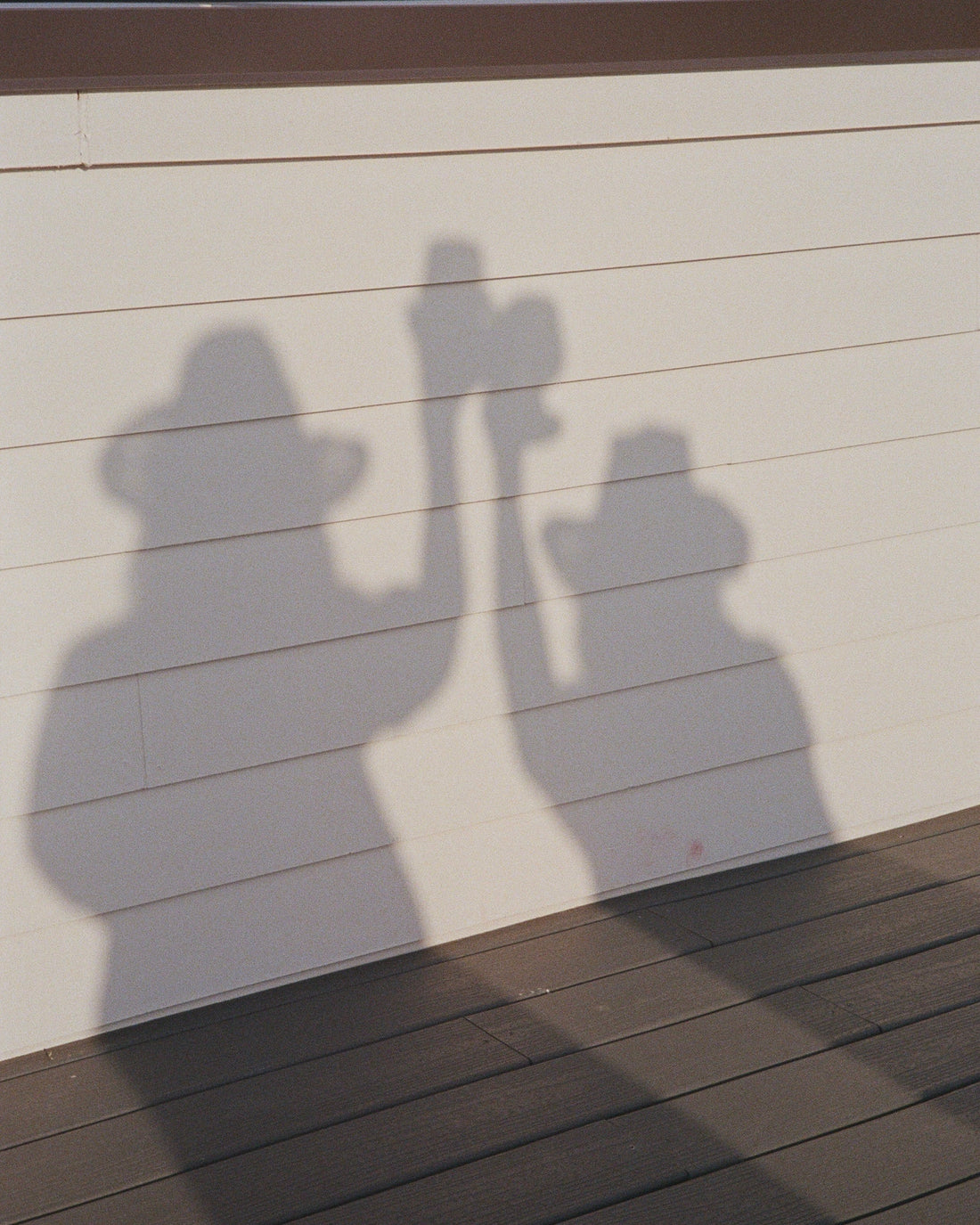 shadow of two women toasting